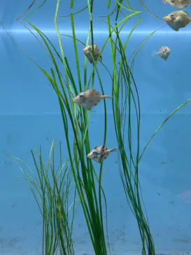 葛西臨海水族園に投稿された画像（2026/1/17）