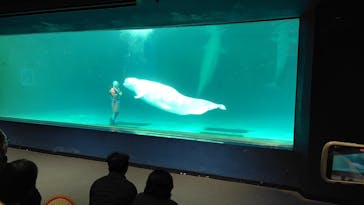 鴨川シーワールドに投稿された画像（2026/1/17）