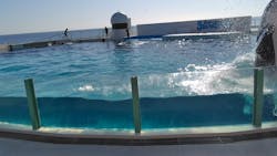 鴨川シーワールドに投稿された画像（2026/1/17）