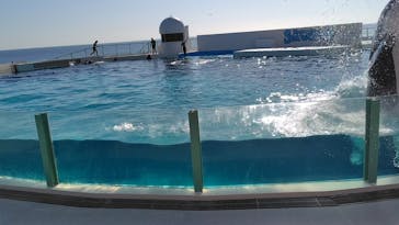 鴨川シーワールドに投稿された画像（2026/1/17）