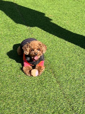 ムーミンバレーパークに投稿された画像（2026/1/17）