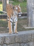 天王寺動物園に投稿された画像（2026/1/17）