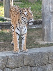 天王寺動物園に投稿された画像（2026/1/17）