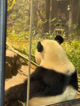 恩賜上野動物園に投稿された画像（2026/1/17）