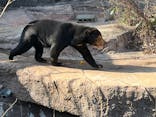 天王寺動物園に投稿された画像（2026/1/17）