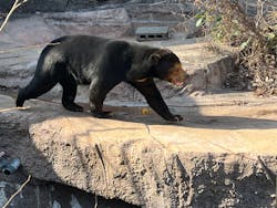 天王寺動物園に投稿された画像（2026/1/17）