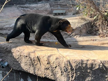 天王寺動物園に投稿された画像（2026/1/17）