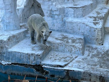 天王寺動物園に投稿された画像（2026/1/17）