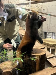 天王寺動物園に投稿された画像（2026/1/17）