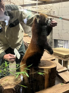 天王寺動物園に投稿された画像（2026/1/17）