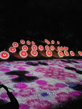 ぎふ灯り物語 ２０２６に投稿された画像（2026/1/17）