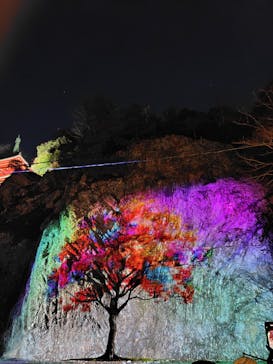 ぎふ灯り物語 ２０２６に投稿された画像（2026/1/17）