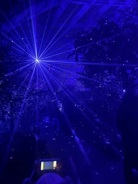 京都府立植物園　LIGHT CYCLES KYOTOに投稿された画像（2026/1/17）