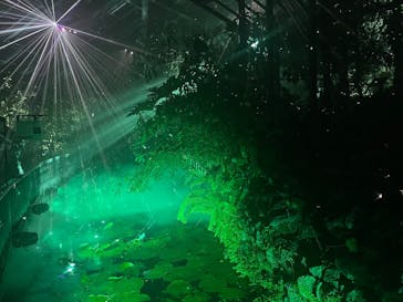 京都府立植物園　LIGHT CYCLES KYOTOに投稿された画像（2026/1/17）