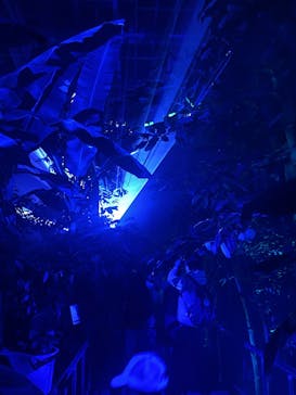 京都府立植物園　LIGHT CYCLES KYOTOに投稿された画像（2026/1/17）