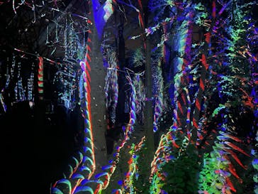 京都府立植物園　LIGHT CYCLES KYOTOに投稿された画像（2026/1/17）