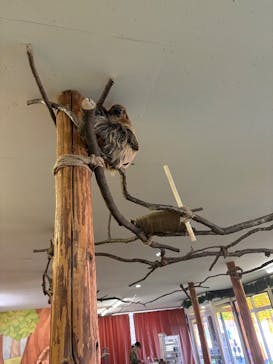 群馬サファリパークに投稿された画像（2026/1/17）