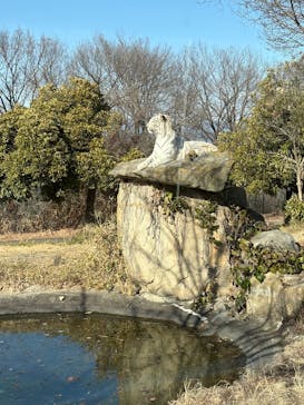 群馬サファリパークに投稿された画像（2026/1/17）