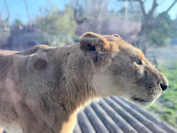 多摩動物公園に投稿された画像（2026/1/17）