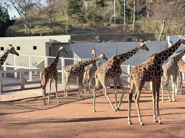 多摩動物公園に投稿された画像（2026/1/17）