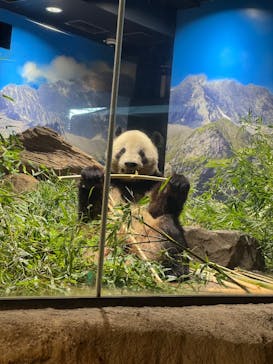 恩賜上野動物園に投稿された画像（2026/1/17）