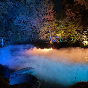 NAKEDヨルマイリ 2025-26 平安神宮に投稿された画像（2026/1/17）