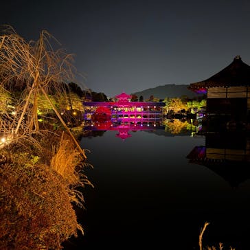 NAKEDヨルマイリ 2025-26 平安神宮に投稿された画像（2026/1/17）