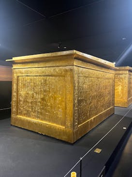 MYSTERY OF TUTANKHAMEN 体感型古代エジプト展に投稿された画像（2026/1/17）