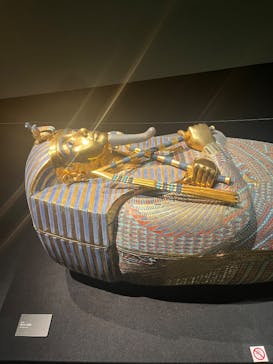 MYSTERY OF TUTANKHAMEN 体感型古代エジプト展に投稿された画像（2026/1/17）