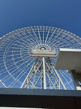 万博記念公園に投稿された画像（2026/1/17）