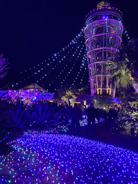 江の島シーキャンドルに投稿された画像（2026/1/17）