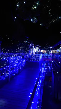 江の島シーキャンドルに投稿された画像（2026/1/17）