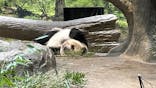 恩賜上野動物園に投稿された画像（2026/1/17）