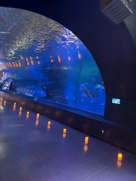 マクセル アクアパーク品川に投稿された画像（2026/1/17）