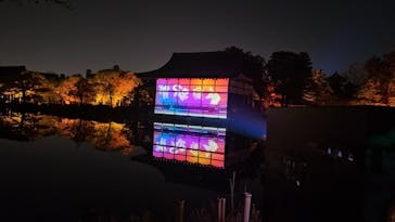 NAKEDヨルマイリ 2025-26 平安神宮に投稿された画像（2026/1/17）