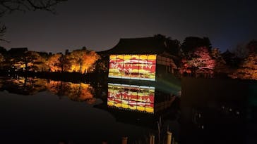 NAKEDヨルマイリ 2025-26 平安神宮に投稿された画像（2026/1/17）