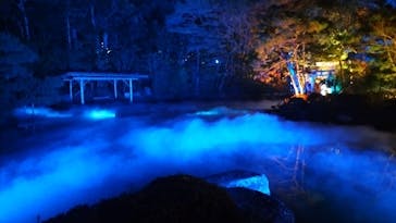 NAKEDヨルマイリ 2025-26 平安神宮に投稿された画像（2026/1/17）