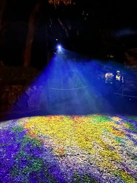 ぎふ灯り物語 ２０２６に投稿された画像（2026/1/17）