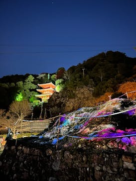 ぎふ灯り物語 ２０２６に投稿された画像（2026/1/17）