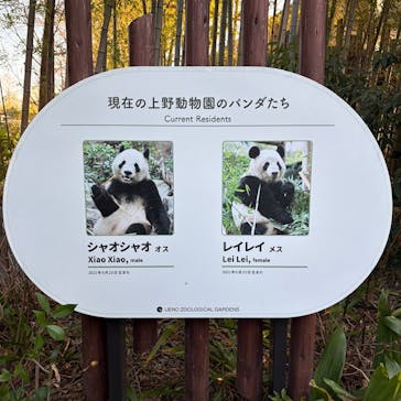 恩賜上野動物園に投稿された画像（2026/1/17）