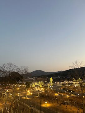 いばらきフラワーパークに投稿された画像（2026/1/17）