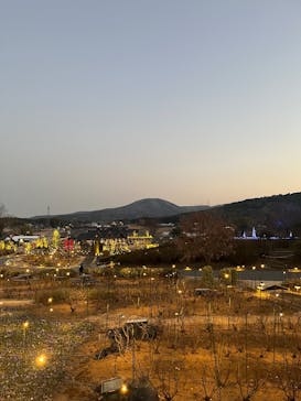 いばらきフラワーパークに投稿された画像（2026/1/17）