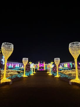 神戸イルミナージュに投稿された画像（2026/1/17）