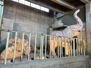 名古屋市東山動植物園に投稿された画像（2026/1/17）