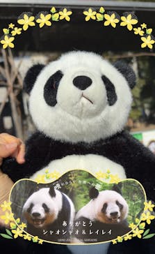 恩賜上野動物園に投稿された画像（2026/1/17）