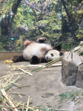 恩賜上野動物園に投稿された画像（2026/1/17）