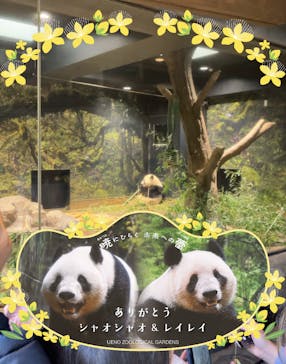 恩賜上野動物園に投稿された画像（2026/1/17）