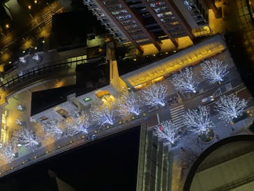 六本木ヒルズ展望台 東京シティビューに投稿された画像（2026/1/17）