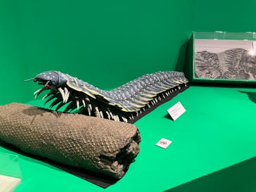 特別展「大絶滅展―生命史のビッグファイブ」に投稿された画像（2026/1/17）