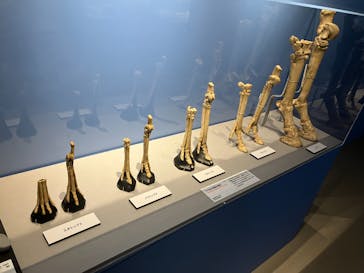 特別展「大絶滅展―生命史のビッグファイブ」に投稿された画像（2026/1/17）